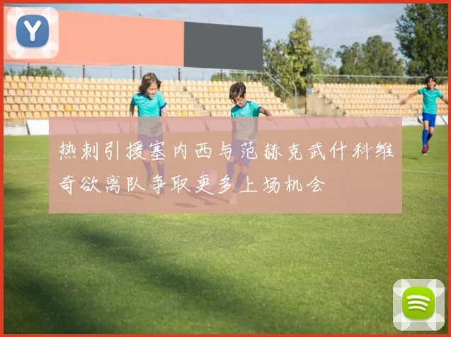 热刺引援塞内西与范赫克武什科维奇欲离队争取更多上场机会